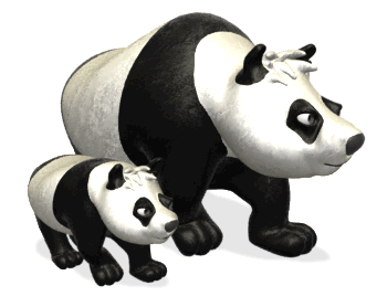PANDA BEARS  